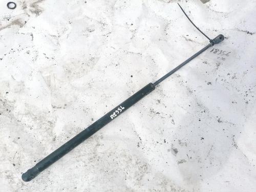 tailgate-lift-support-renault-scenic-ii-jm01_-2003-2004-2005-2006-2007-2008-2009-2010-35391654 main image