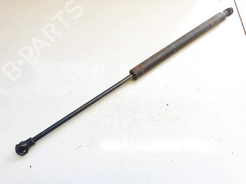 tailgate-lift-support-peugeot-307-3ac-2000-2001-2002-2003-2004-2005-2006-2007-2008-2009-2010-2011-2012-35192971 main image