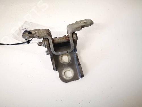 hingedoor-check-strap-renault-laguna-iii-bt01-2007-2008-2009-2010-2011-2012-2013-2014-2015-32942817 main image