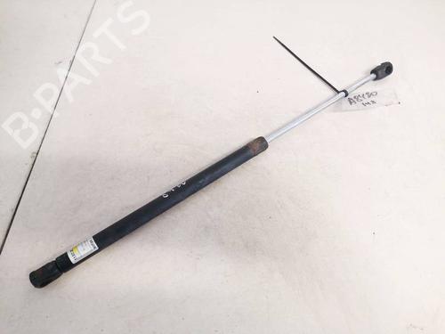 tailgate-lift-support-peugeot-307-3ac-2000-2001-2002-2003-2004-2005-2006-2007-2008-2009-2010-2011-2012-35350571 main image