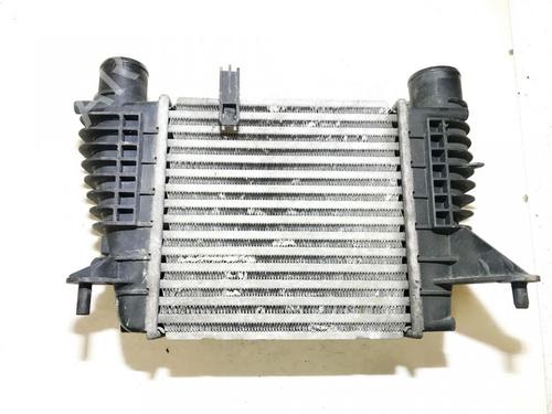 Intercooler RENAULT CLIO III (BR0/1, CR0/1) 1.2 16V | BP35632176M30 - Image 2