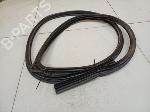 Gummiliste Gummiliste NISSAN PRIMERA Hatchback (P12) 1.9 dCi (120 hp) 36828530 36828530