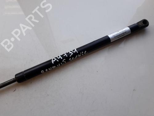 tailgate-lift-support-renault-scenic-ii-jm01_-2003-2004-2005-2006-2007-2008-2009-2010-35848524 main image