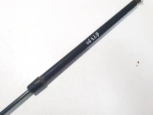 Tailgate lift support CHRYSLER PACIFICA 3.5 | BP35359170C138 - Image 3