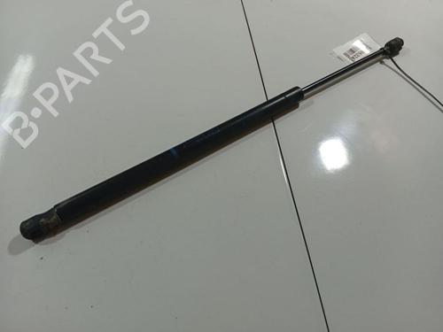 tailgate-lift-support-renault-scenic-ii-jm01_-2003-2004-2005-2006-2007-2008-2009-2010-34904337 main image