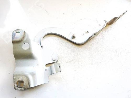 Hinge/Door check strap RENAULT ZOE (BFM_) ZOE | BP35075875C146 - Image 3