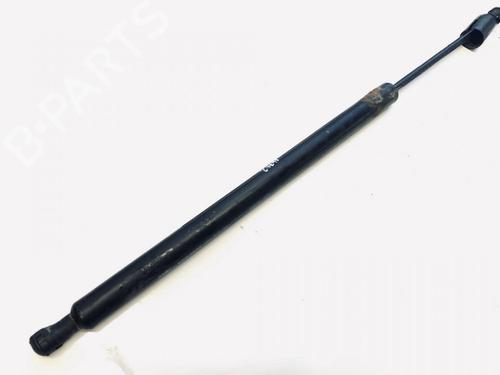 tailgate-lift-support-renault-modus-grand-modus-fjp0_-2004-35556241 main image