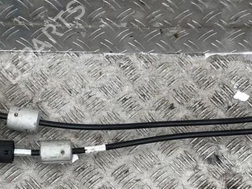 Gearstang Gearstang 35706283 35706283