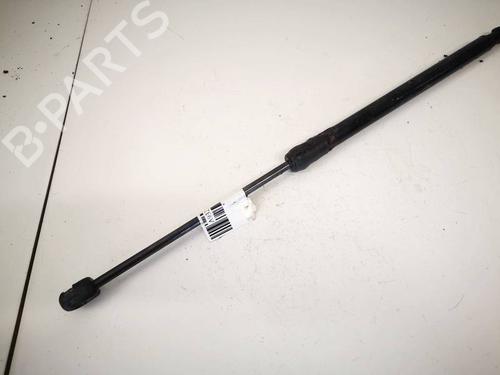 tailgate-lift-support-skoda-fabia-ii-542-2006-2007-2008-2009-2010-2011-2012-2013-2014-35189243 main image