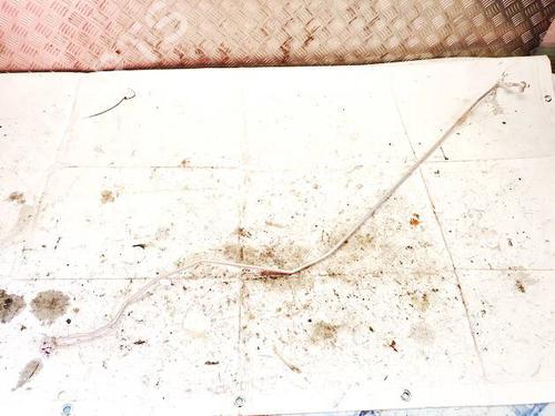 BP32594559M126 main image