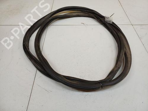 Gummiliste Gummiliste RENAULT GRAND SCÉNIC II (JM0/1_) 1.9 dCi (JM14) (131 hp) 36822226 36822226