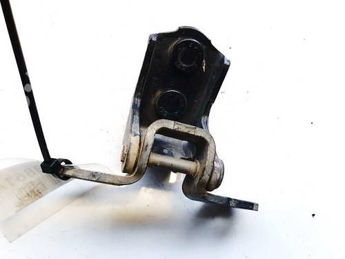 hingedoor-check-strap-renault-laguna-ii-bg01_-2001-2002-2003-2004-2005-2006-2007-32539682 main image