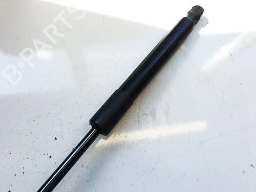 Tailgate lift support TESLA MODEL 3 (5YJ3) EV AWD | BP36313574C138 - Image 3