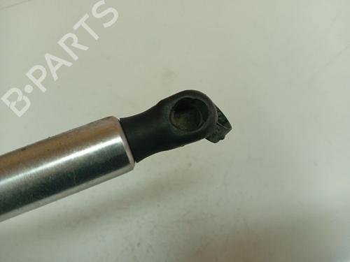 Tailgate lift support AUDI A8 D3 (4E2, 4E8) 4.0 TDI quattro | BP38766213C138 - Image 3