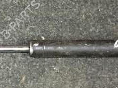 tailgate-lift-support-renault-laguna-ii-bg01_-2001-2002-2003-2004-2005-2006-2007-35661160 main image