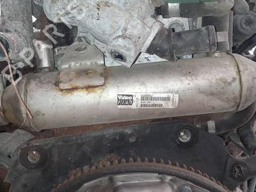 Used Egr Egr 35299539 35299539