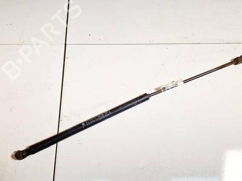 tailgate-lift-support-fiat-croma-194_-2005-2006-2007-2008-2009-2010-2011-35011048 main image