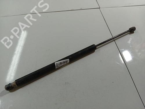 tailgate-lift-support-renault-scenic-ii-jm01_-2003-2004-2005-2006-2007-2008-2009-2010-34804752 main image