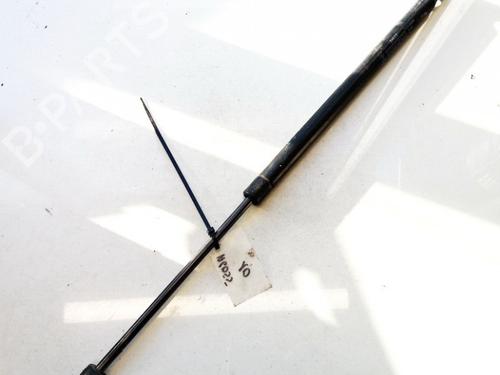 tailgate-lift-support-renault-scenic-ii-jm01_-2003-2004-2005-2006-2007-2008-2009-2010-35640387 main image