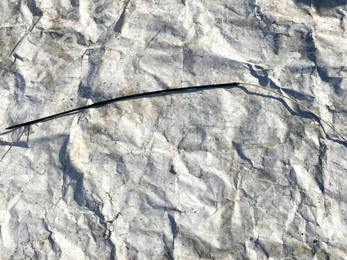 Used Cable Cable BMW 3 Touring (E46) 320 d (150 hp) 35116301 35116301