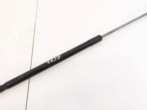 tailgate-lift-support-ford-focus-iii-2010-2011-2012-2013-2014-2015-2016-2017-2018-2019-2020-35218618 main image
