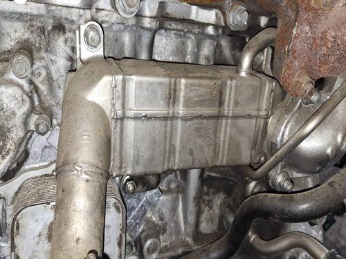 Used Egr Egr 36689781 36689781