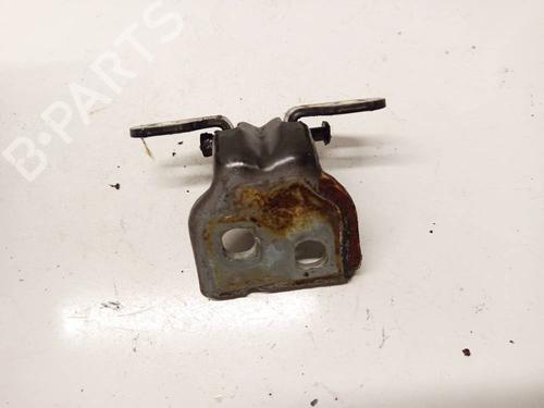 hingedoor-check-strap-dacia-sandero-ii-2012-33097733 main image