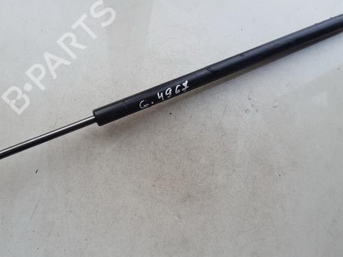 tailgate-lift-support-nissan-juke-f15-2010-2011-2012-2013-2014-2015-2016-2017-2018-2019-35854978 main image