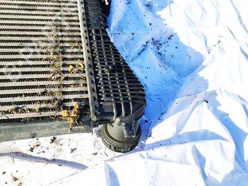 Intercooler SEAT TOLEDO III (5P2) 1.9 TDI | BP40519510M30 - Image 3