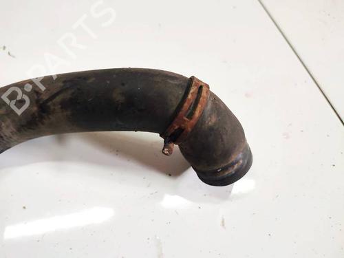 Pipe DR DR 5 1.6 | BP35023534M125 - Image 3