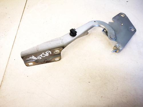 hingedoor-check-strap-renault-megane-iii-hatchback-bz01_-b3_-2008-35535441 main image