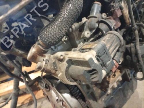 Egr OPEL MERIVA B MPV (S10) 1.3 CDTI (75) | BP36851876M69 - Image 2