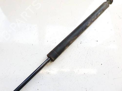 tailgate-lift-support-peugeot-307-3ac-2000-2001-2002-2003-2004-2005-2006-2007-2008-2009-2010-2011-2012-36830245 main image