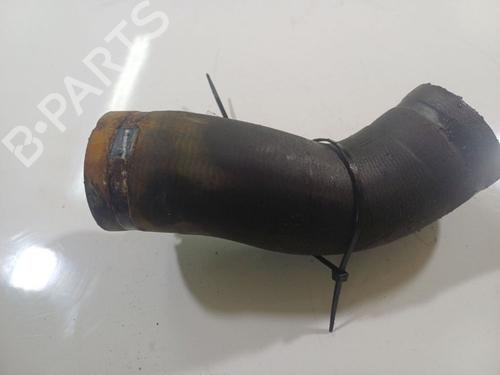 Pipe FIAT DOBLO Cargo (263_) 2.0 D Multijet | BP32546717M125