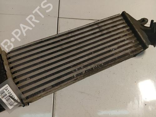 Intercooler CITROËN C8 (EA_, EB_) 2.2 HDi | BP34815145M30 - Image 4