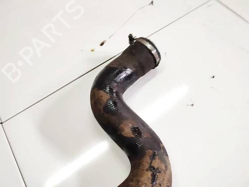 Pipe CITROËN C5 III (RD_) 2.0 HDi (RDRHD8, RDRHDJ, RDRHR8, RDRHRJ) | BP32578385M125 - Image 6