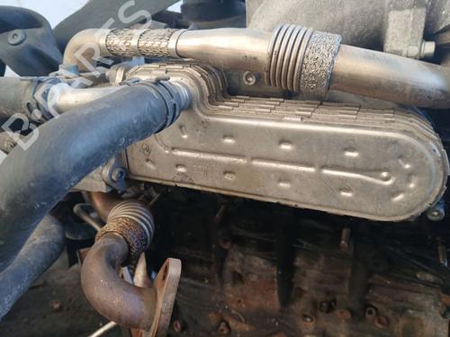 Used Egr Egr 36896635 36896635