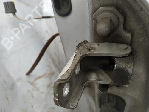 hingedoor-check-strap-renault-laguna-ii-bg01_-2001-2002-2003-2004-2005-2006-2007-33097198 main image