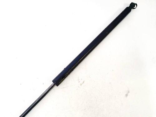 tailgate-lift-support-renault-scenic-iii-jz01_-2008-2009-2010-2011-2012-2013-2014-2015-2016-35378975 main image