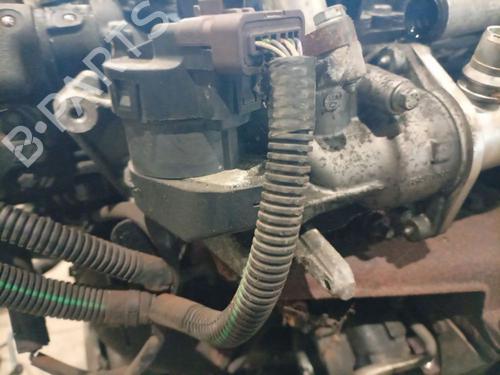 Used Egr Egr 36585994 36585994