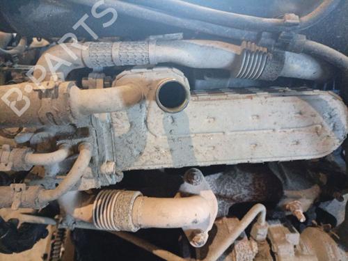 Egr Egr SKODA OCTAVIA II (1Z3) 1.9 TDI (105 hp) 36688112 36688112