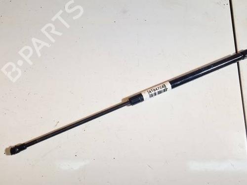 tailgate-lift-support-toyota-yaris-_p1_-1999-2000-2001-2002-2003-2004-2005-34992730 main image