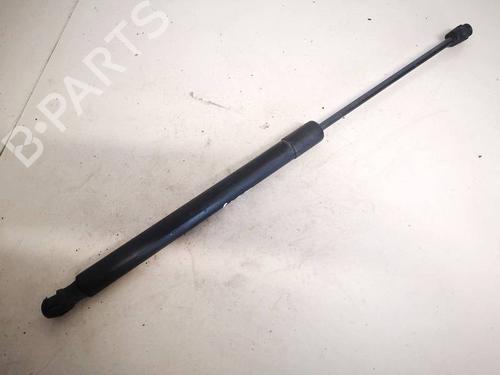 tailgate-lift-support-audi-q5-8rb-2008-2009-2010-2011-2012-2013-2014-2015-2016-2017-2018-2019-35317849 main image