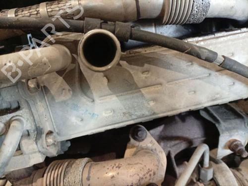 Egr VW GOLF V (1K1) 1.9 TDI | BP36688358M69 - Image 3
