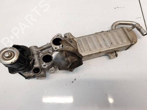 Egr Egr 38342577 38342577