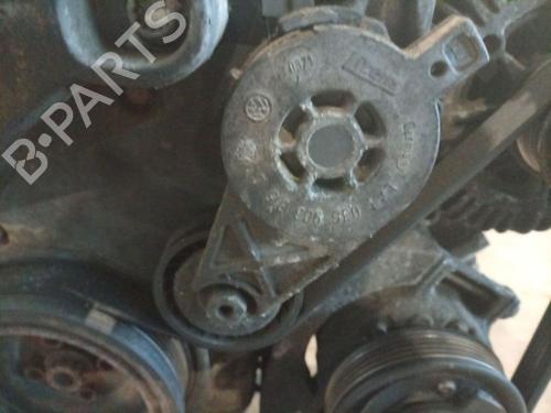 Polea Polea VW PASSAT B6 (3C2) 1.9 TDI (105 hp) 36455546 36455546