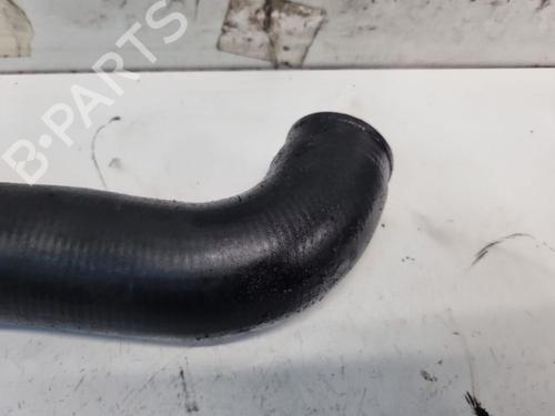 Pipe BMW 3 Touring (E46) 320 d | BP32568775M125