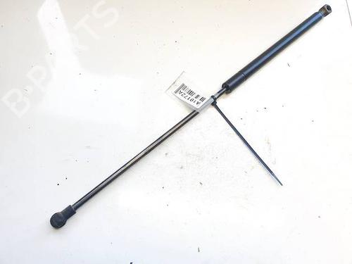 tailgate-lift-support-citroen-c4-i-lc_-2004-2005-2006-2007-2008-2009-2010-2011-2012-2013-2014-34839413 main image