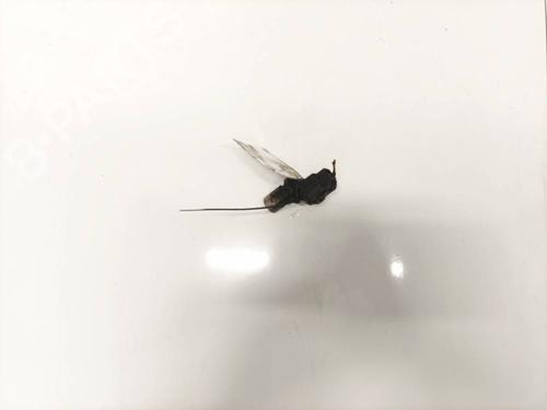 Used Electronic sensor Electronic sensor 35220736 35220736