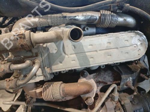 Used Egr Egr 36688573 36688573